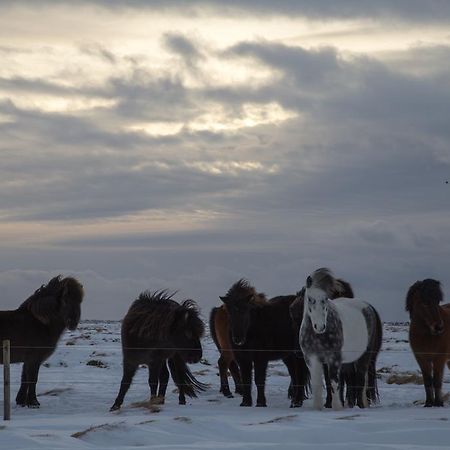 Myri - Studio Lodge Selfoss Kültér fotó