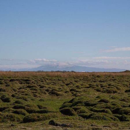 Myri - Studio Lodge Selfoss Kültér fotó