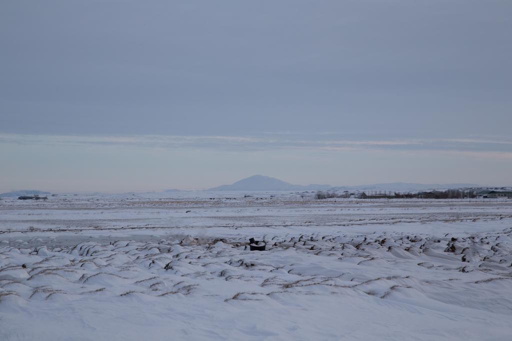 Myri - Studio Lodge Selfoss Kültér fotó