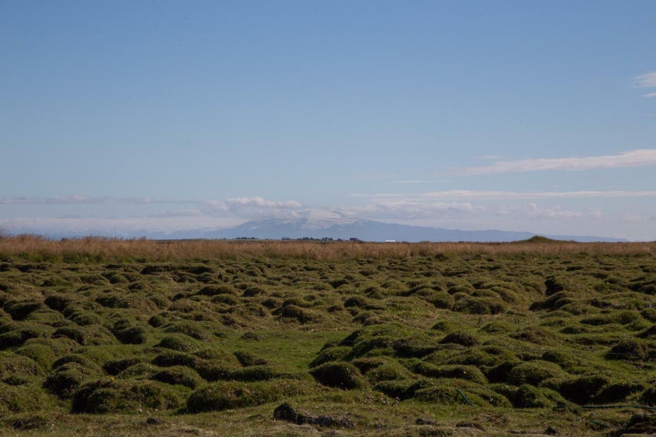 Myri - Studio Lodge Selfoss Kültér fotó